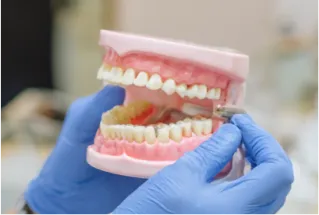 噛み合わせや歯周病の状態